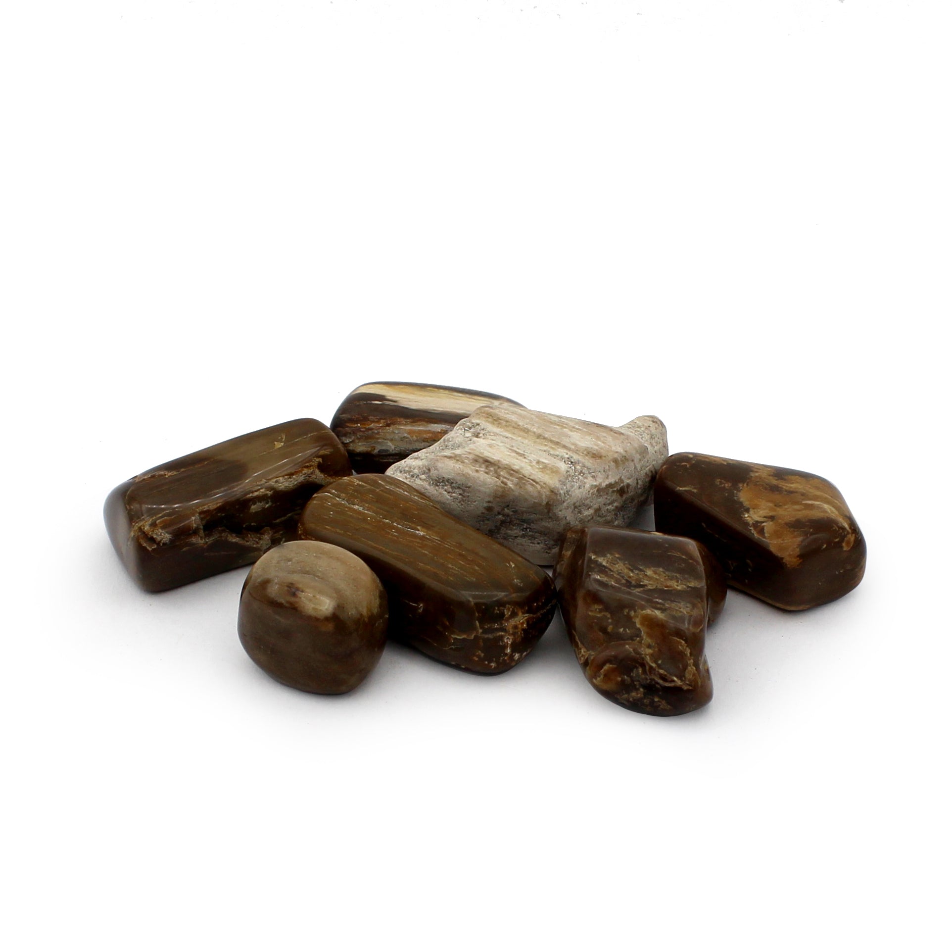 Petrified Wood Polished Tumble $5